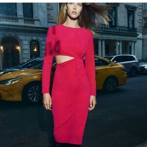 Zara Pink cutout dress -Size Medium New w/out tags